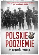 Historia świata - Polskie podziemie w oczach wroga - miniaturka - grafika 1
