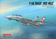 Czasopisma - Angraf Model Wydanie Specjalne - miniaturka - grafika 1