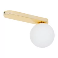 Lampy sufitowe - Bianca lampa sufitowa 1-punktowa złota 4698 - miniaturka - grafika 1