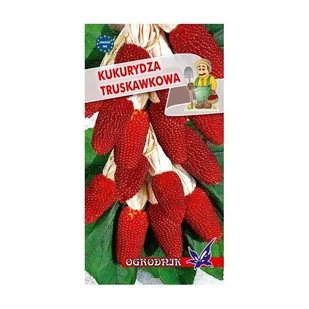 Kukurydza ozdobna truskawkowa 2g / O / - Nasiona i cebule - miniaturka - grafika 1