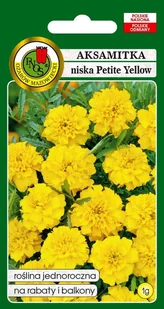 Aksamitka pełna niska Petite Yellow 1 g PNOS - Nasiona i cebule - miniaturka - grafika 1