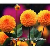 Aforyzmy i sentencje - Trzy najważniejsze - miniaturka - grafika 1