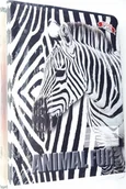 Zeszyty szkolne - Herlitz Zeszyty 32 Kartkowe Linia Komplet 10Szt. Animal - miniaturka - grafika 1