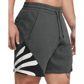 Spodenki męskie - Męskie spodenki dresowe Under Armour Curry Splash Fleece - szare - miniaturka - grafika 1