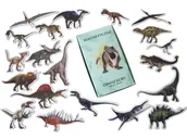 Magnesy - Magnesy na lodówkę na tekturze poznaję DINOZAURY/Media Mag - miniaturka - grafika 1