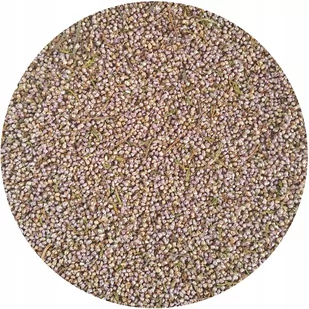 Wrzos kwiaty kwiat wrzosu suszone PREMIUM Mystic.Garden certyfikowane 500 g - Herbata - miniaturka - grafika 1