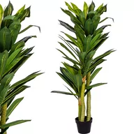 Sztuczne drzewka - SZTUCZNE DRZEWKO DRACENA 120 CM SMOCZE DRZEWO - miniaturka - grafika 1