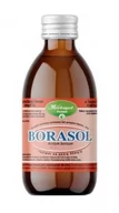 Stawy, mięśnie, kości - HERBAPOL-POZNAN S.A. HERBAPOL-POZNAN S.A Borasol Płyn 1000 g - miniaturka - grafika 1