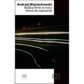 Poezja - Budzą mnie w nocy słowa do zapisania - miniaturka - grafika 1