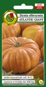 Nasiona i cebule - DYNIA OLBRZYMIA ATLANTIC GIANT NASIONA BEZ GMO 3g - miniaturka - grafika 1