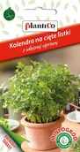 Nasiona i cebule - NASIONA Kolendra Siewna Na Cięte Listki 0,5g PLANTICO Taras Balkon 426559 - miniaturka - grafika 1