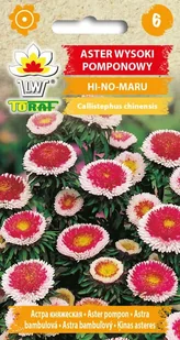 Aster wysoki pomponowy Hi-No-Maru trójbarwny nasiona 0,5g Toraf - Nasiona i cebule - miniaturka - grafika 1