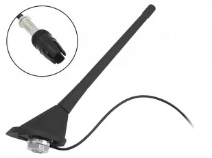 Antena samochodowa z wtykiem Raku 1 do Fiat, maszt 17cm - Anteny samochodowe - miniaturka - grafika 1