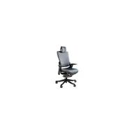 Fotele i krzesła biurowe - Ergonomiczny fotel biurowy Wau 2 wsparcie lędźwi - miniaturka - grafika 1