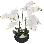 Sztuczne kwiaty - Atmosphera Sztuczna roślina ORCHIDEE czarna doniczka 65 cm - miniaturka - grafika 1