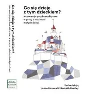 Poradniki dla rodziców - Co się dzieje z tym dzieckiem$686 - miniaturka - grafika 1