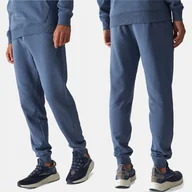 Dresy męskie - SPODNIE DRESOWE MĘSKIE 4F XL JOGGERY DRESY SPORTOWE TTROM0942 AW24 - miniaturka - grafika 1
