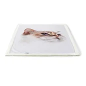 Legowiska dla psów - AniOne Koc Sky - miniaturka - grafika 1