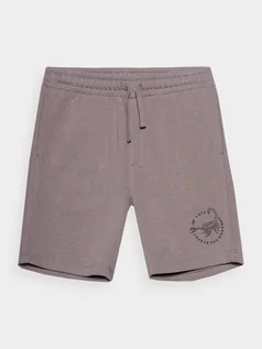 Spodnie i spodenki dla chłopców - Spodenki dresowe chłopięce - 4F - grafika 1