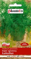 Nasiona i cebule - NASIONA Koper Ogrodowy Lukullus 5g PLANTICO 408036 - miniaturka - grafika 1
