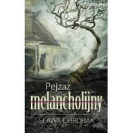 Księgarnia OUTLET - Pejzaż melancholijny - miniaturka - grafika 1