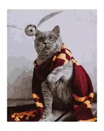 Malowanie po numerach - Malowanie po numerach - Magiczny kot 40x50cm - Twoje Hobby - miniaturka - grafika 1