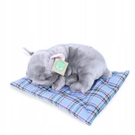Maskotki i pluszaki - Pluszak Maskotka Piesek Szczeniak Buldog Eco Friendly 23cm - miniaturka - grafika 1