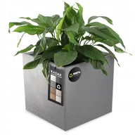 Donice - Donica Sore na kółkach „Beton" 40 x 39 cm, antracyt - miniaturka - grafika 1