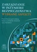 Technika - Zarządzanie w inżynierii bezpieczeństwa. Wybrane aspekty - miniaturka - grafika 1