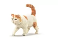 Figurki dla dzieci - Egzotyczny kot krótkowłosy - Collecta - miniaturka - grafika 1