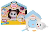 Figurki dla dzieci - Cobi Little Live Pets Kotek Z Domkiem 26546 65468 - miniaturka - grafika 1