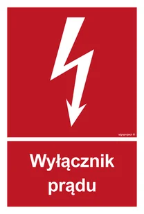 BC007 WYŁĄCZNIK PRĄDU, PS - PŁYTA PCV 1MM FOTOLUMINESCENCYJNA; (250X370MM) - Systemy ekspozycyjne i znaki informacyjne - miniaturka - grafika 1