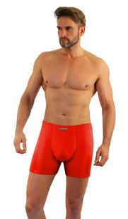 Bokserki męskie lizard-xl - Majtki męskie - miniaturka - grafika 1