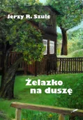 Opowiadania - Żelazko na duszę - miniaturka - grafika 1