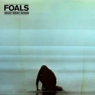 Inna muzyka - What Went Down Deluxe Edition) CD + DVD) Foals - miniaturka - grafika 1