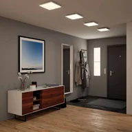 Lampy pozostałe - Paulmann Velora panel LED 3-step-dim, 59,5x29,5 cm - miniaturka - grafika 1