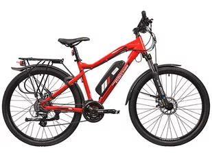 Rower elektryczny R.EVOLUTION Anyway E200 - Rowery elektryczne - miniaturka - grafika 1