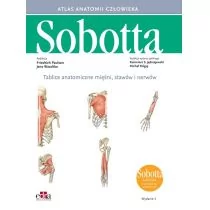 Tablice anatomiczne mięśni stawów i nerwów Łacińskie mianownictwo Paulsen F. Waschke J - Książki medyczne - miniaturka - grafika 1