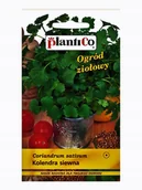 Nasiona i cebule - Plantico Kolendra siewna - miniaturka - grafika 1