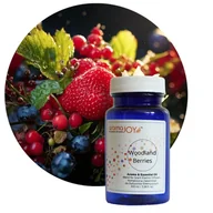 Zapachy do domu - WOODLAND BERRIES - Kompozycja Zapachowa 100 ml - miniaturka - grafika 1