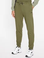 Spodnie sportowe męskie - Fila Spodnie dresowe FAM0500 Zielony Regular Fit - miniaturka - grafika 1