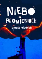 Kryminały - Niebo w płomieniach - miniaturka - grafika 1