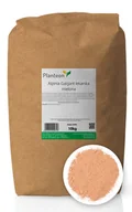 Zioła - Planteon Alpinia Galgant lekarska mielona 10kg 2-0064-02-7 - miniaturka - grafika 1