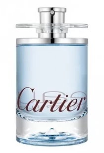 Cartier Eau de Vetiver Bleu woda toaletowa 200ml - Wody i perfumy damskie - miniaturka - grafika 1