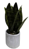 Sztuczne kwiaty - ROŚLINA SZTUCZNA Sanseviera HOMLA 20 cm - miniaturka - grafika 1