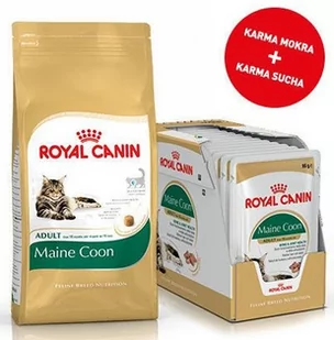 Royal Canin Maine Coon Adult 31 2kg + 12x Maine Coon Adult saszetka 85g Sos) 16648-uniw - Mokra karma dla kotów - miniaturka - grafika 1