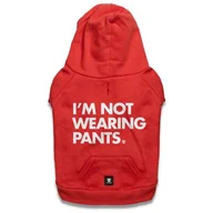 Ubranka dla psów - ZEE DOG Bluza dla psa ZEE DOG Im Not Wearing Pants L - miniaturka - grafika 1