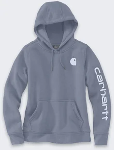 Bluza Carhartt Midweight LS Graphic Wisteria - Bluzy męskie - miniaturka - grafika 1