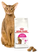Sucha karma dla kotów - ROYAL CANIN  Exigent Savour 35/30 Sensation 2kg + niespodzianka dla kota GRATIS! - miniaturka - grafika 1