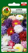 Nasiona i cebule - Aster wysoki mieszany na kwiat cięty 0,8 g PNOS - miniaturka - grafika 1